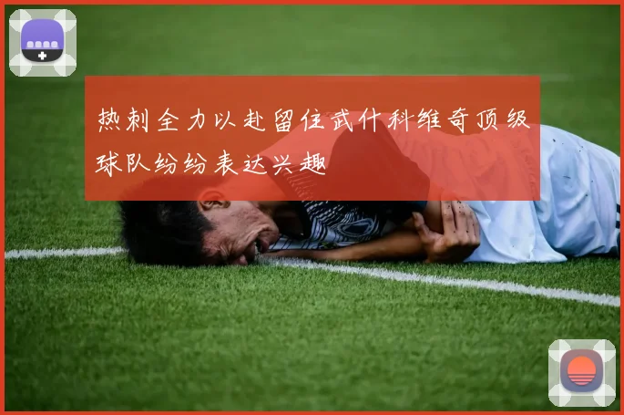 热刺全力以赴留住武什科维奇顶级球队纷纷表达兴趣