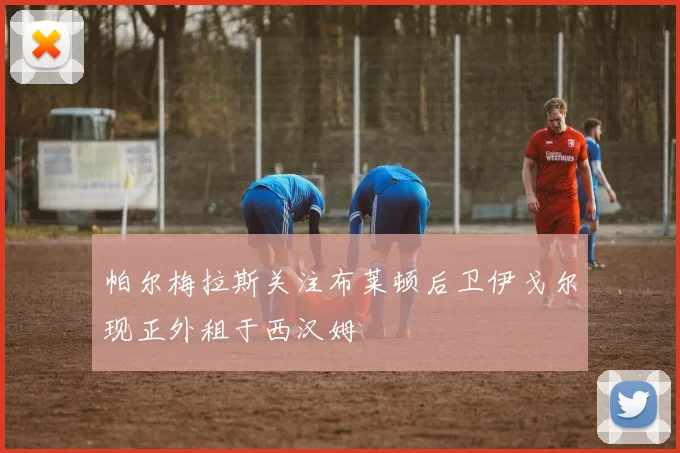 帕尔梅拉斯关注布莱顿后卫伊戈尔现正外租于西汉姆